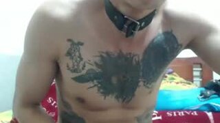 senshiboy666